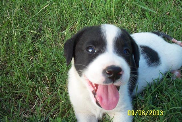 Sticking out his Tongue for the Camera
