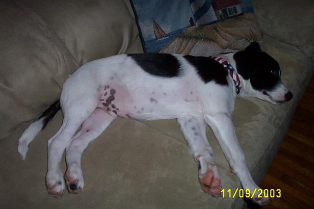 All Stretched Out