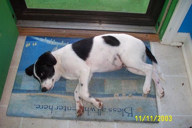 On the Welcome Mat