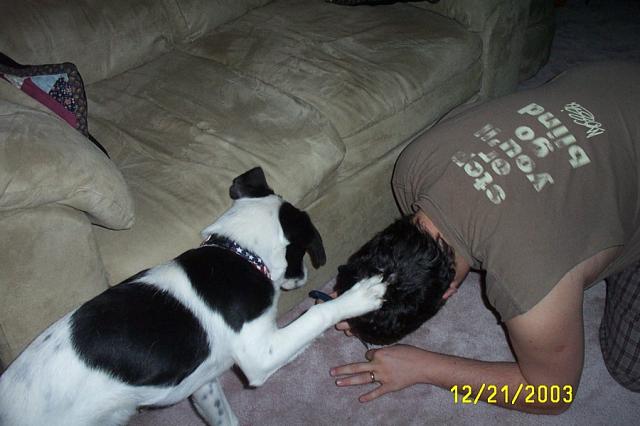 "Helping" Jake
