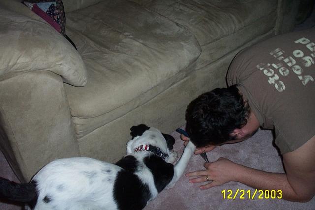 "Helping" Jake