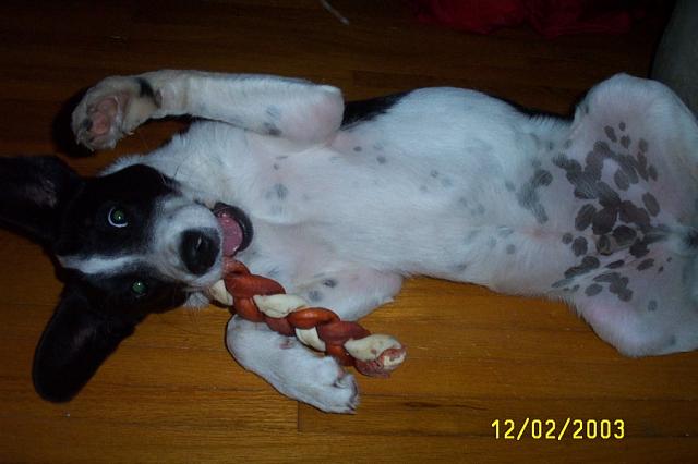 Being Silly for the Camera
