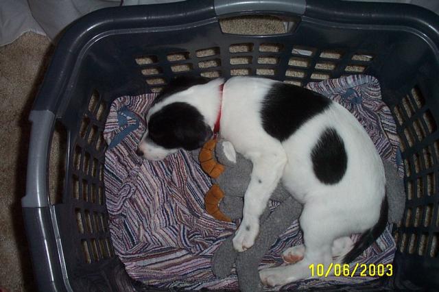 Eddie in October 2003