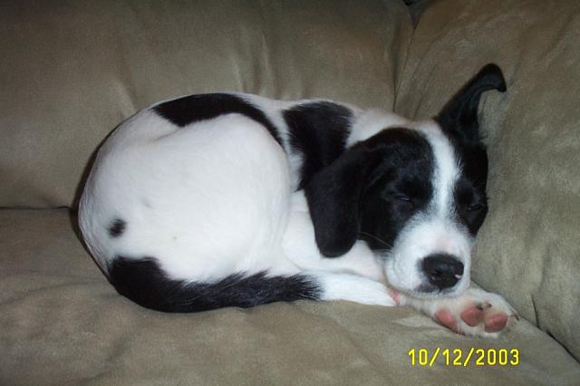 Sleeping on the Couch