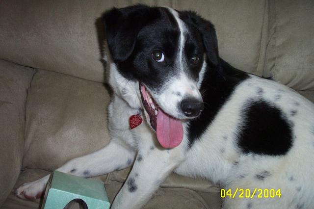 An Eddie Smile