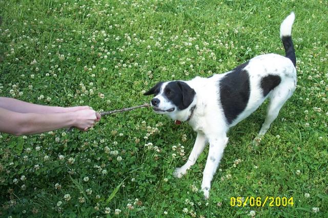 Tug-O-War