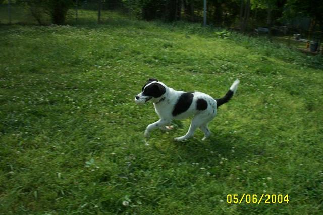 You Can't Catch Me!