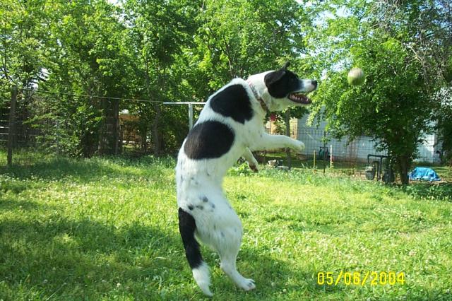 JUMP!