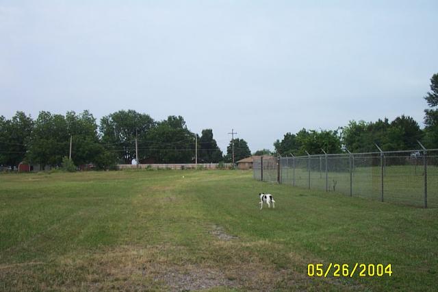 The Field