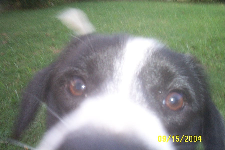 Extreme Close Up!