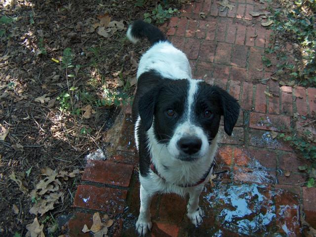 I'm CLEAN -- but still not very happy about it!