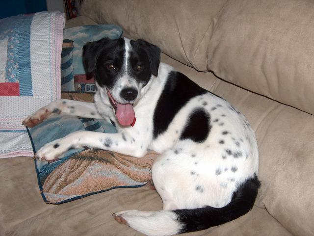 It's MY pillow!