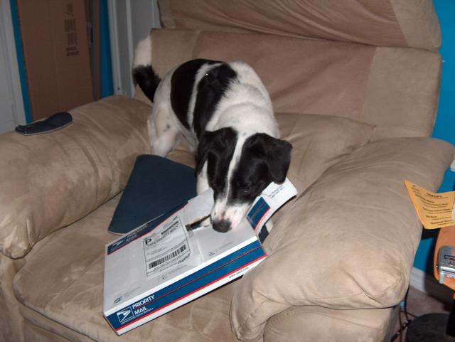 Eddie found a box