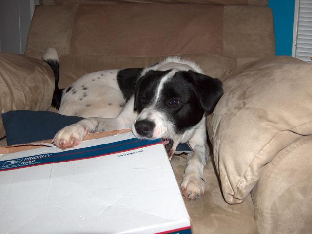 Mmm, I love boxes!