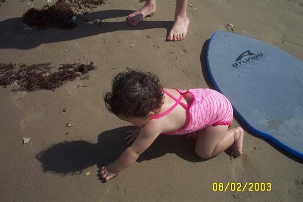 Exploring the Beach