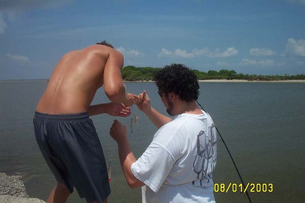 Playing with Shrimp
