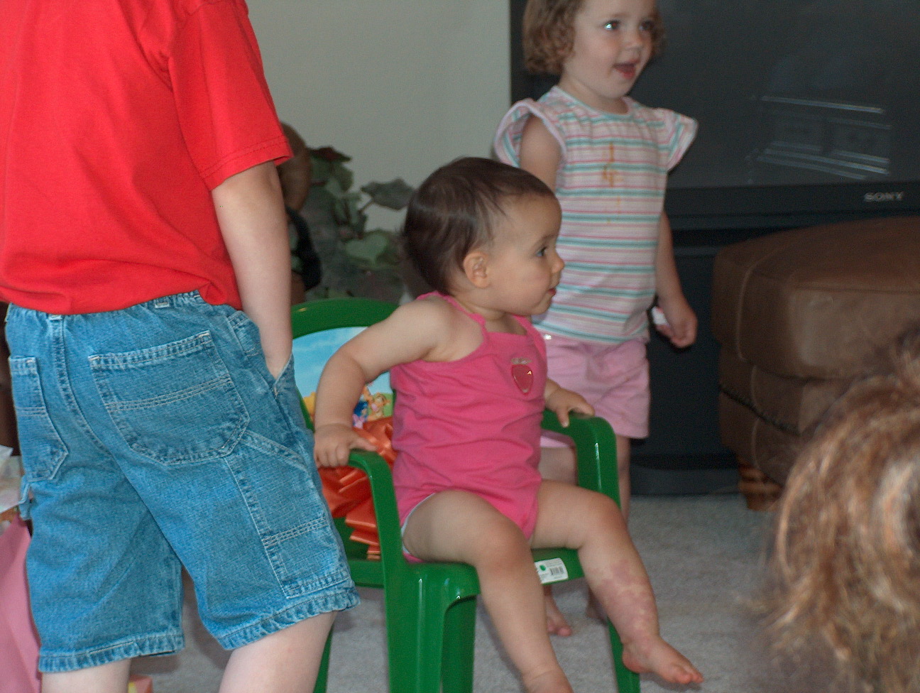 Gracie in her green chair -- she didn't stay there long, though.