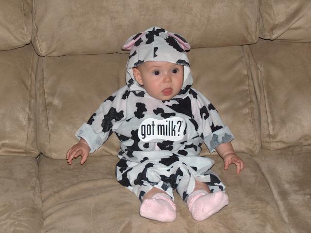 Gracie the Very Cute Cow
