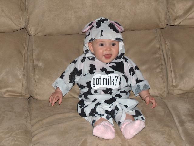 Gracie the Very Cute Cow