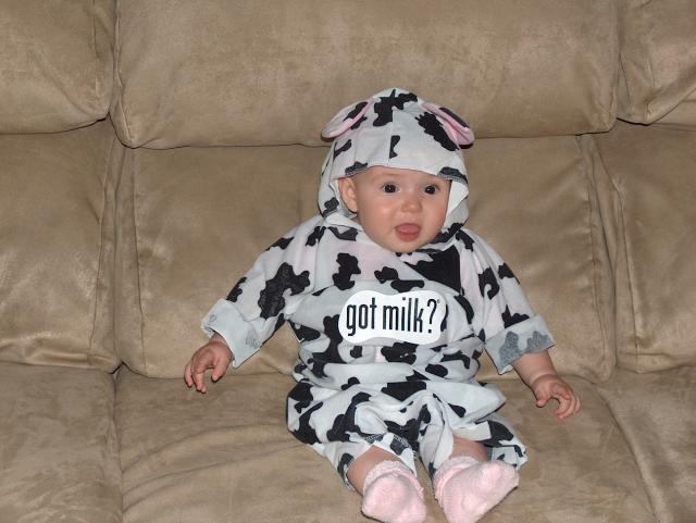 Gracie the Very Cute Cow