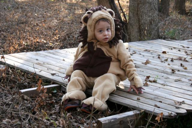 Roar!