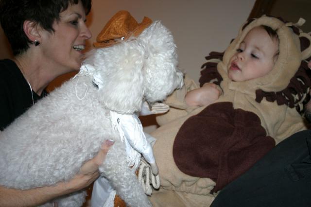 Dogs dress up for Halloween, too?