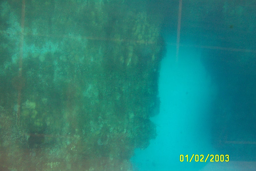View from the glass bottom boat...