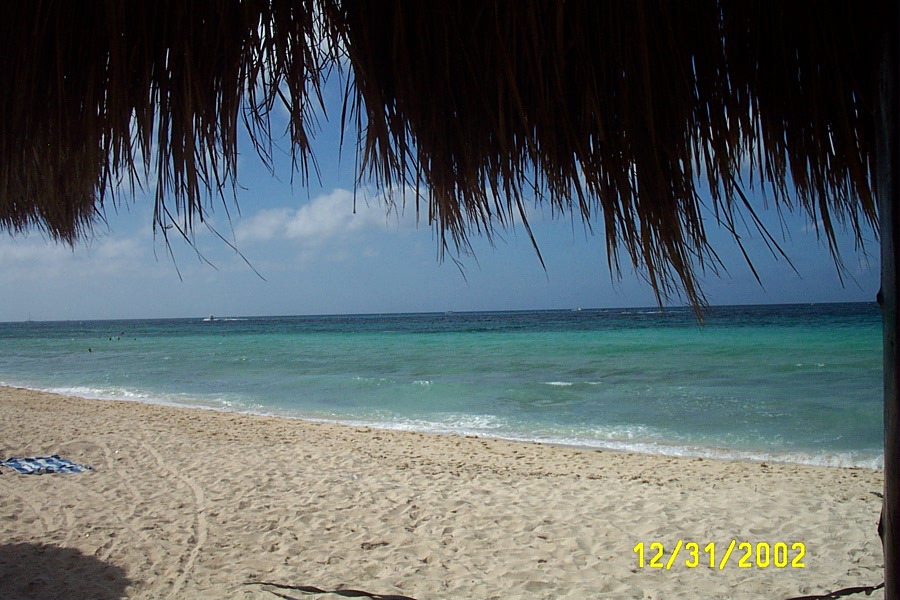 The beach from under a grass hut...