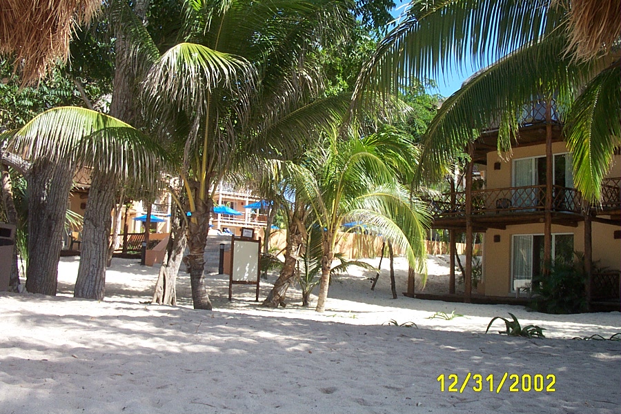 More of the beach...