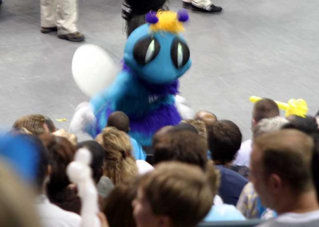 Go Hornets!