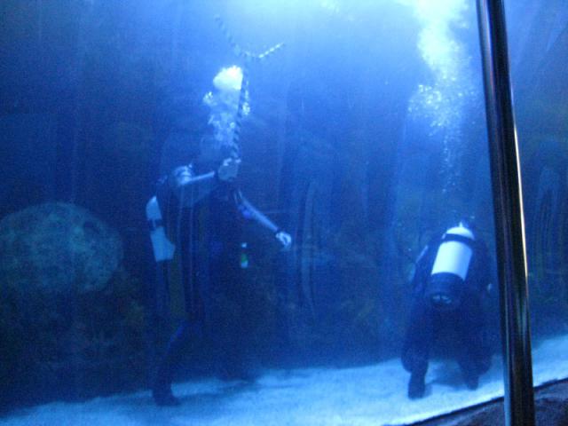 More tank cleaners, these with shark sticks