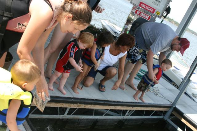 Feeding the fish at the marina