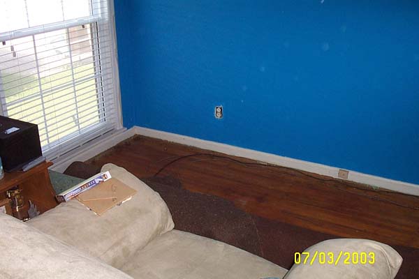 Ripping up the carpet begins