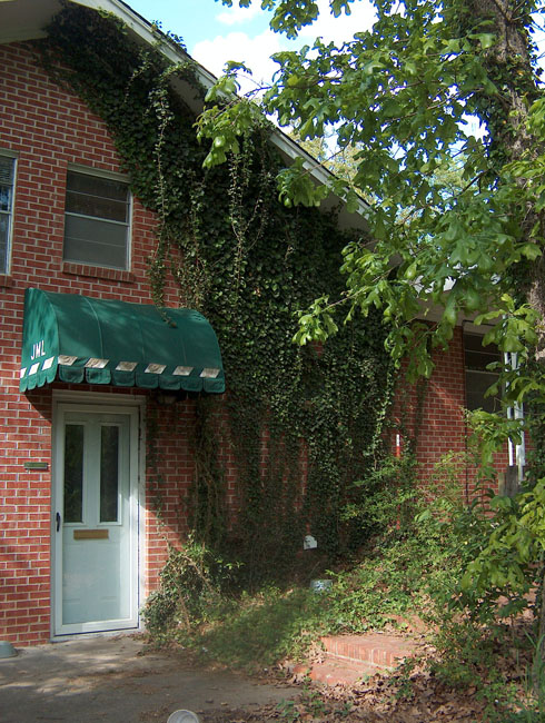 The back - before