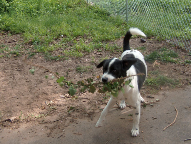 Eddie's a good helper!