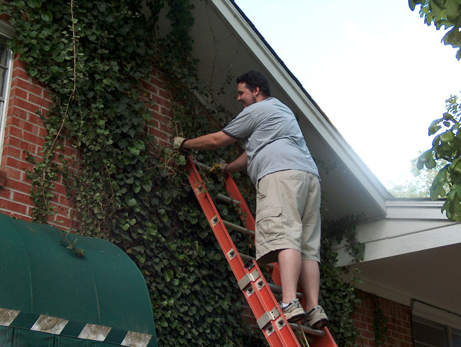 Getting started - a little bigger job than the front!
