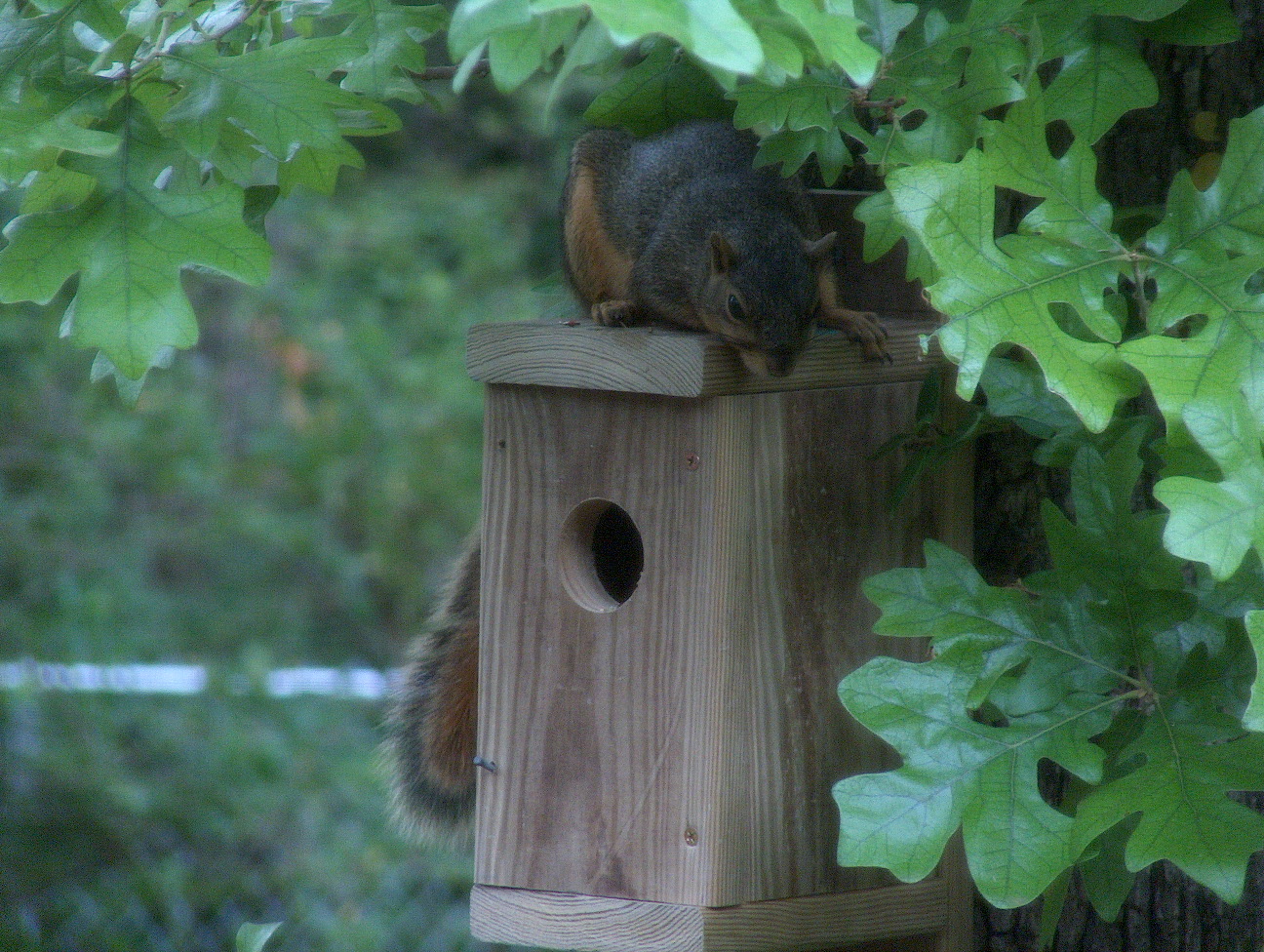 Hey, that house is not for you!