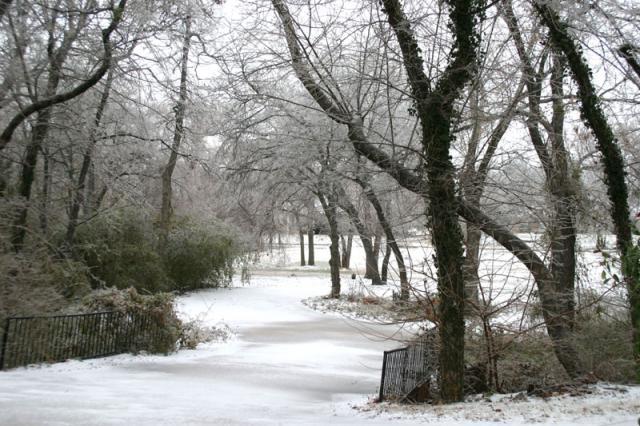 Winter wonderland ~ January 13, 2007