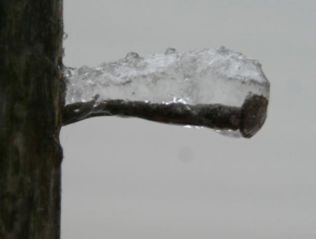 Iced Nail ~ January 14, 2007