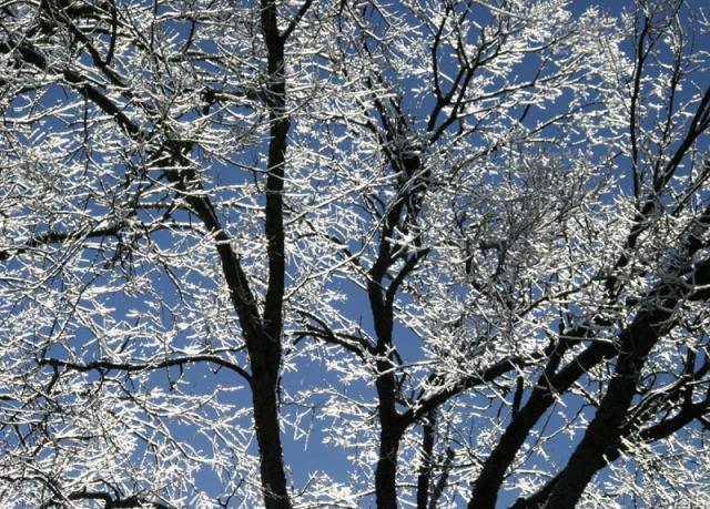 Sky blue ~ January 15, 2007