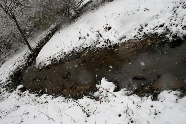 Cold creek ~ December 26, 2007