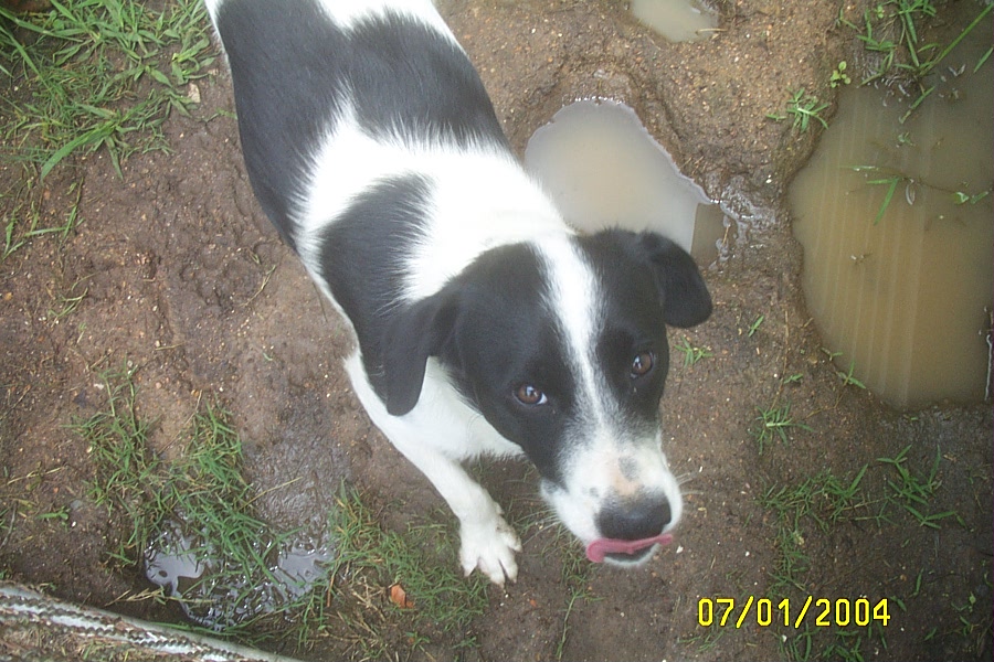 Licking his Lips (Yes, Eddie has lips.)