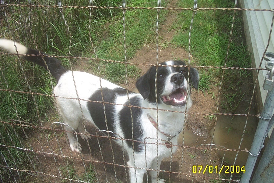 Smiling Behind "Bars"
