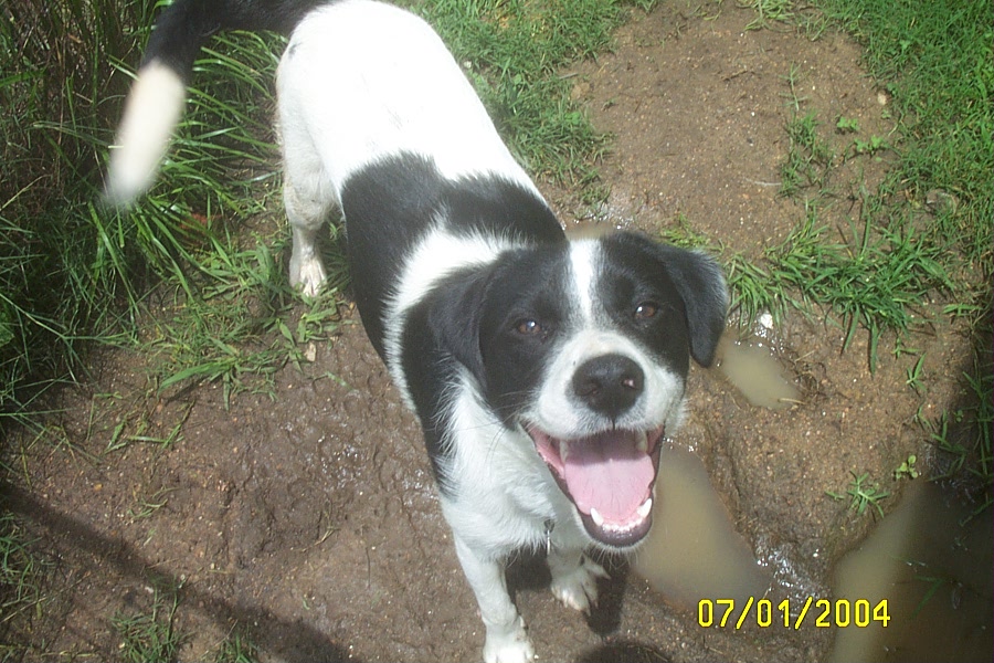 An Eddie Grin