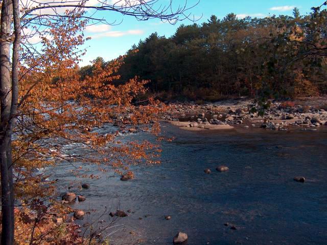 Scenic River View