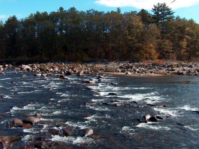 Scenic River View