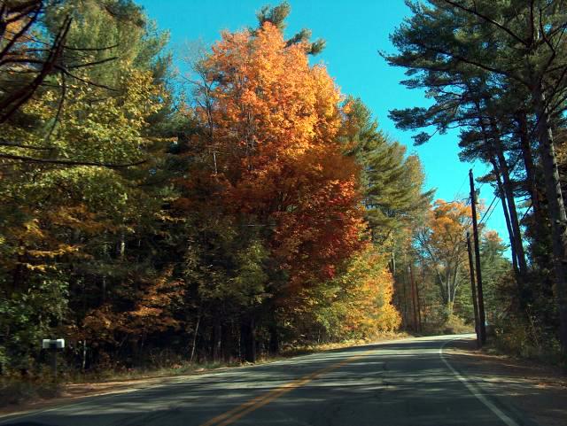 Scenic Driving