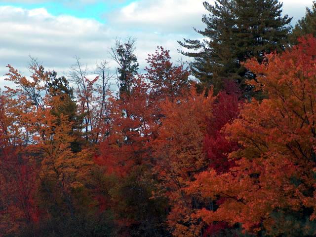 Amazing Colors!