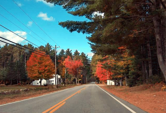 Scenic Driving