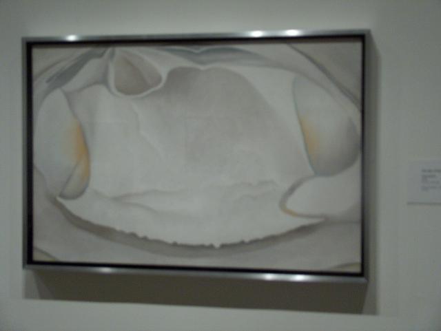 Clamshell by Georgia O'Keefe